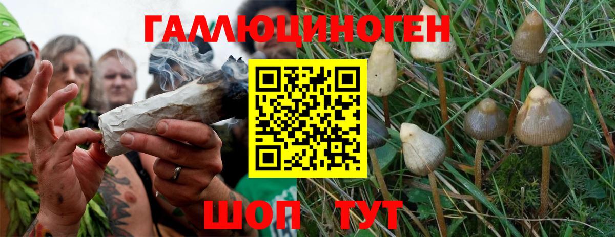 Галлюциногенные грибы Magic Shrooms  Вход с VPN  Похвистнево 